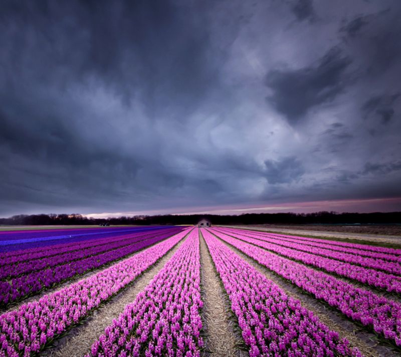 astratto, natura, cielo, campo, sorridente, orizzonte astratto, natura, cielo, campo, sorridente, orizzonte