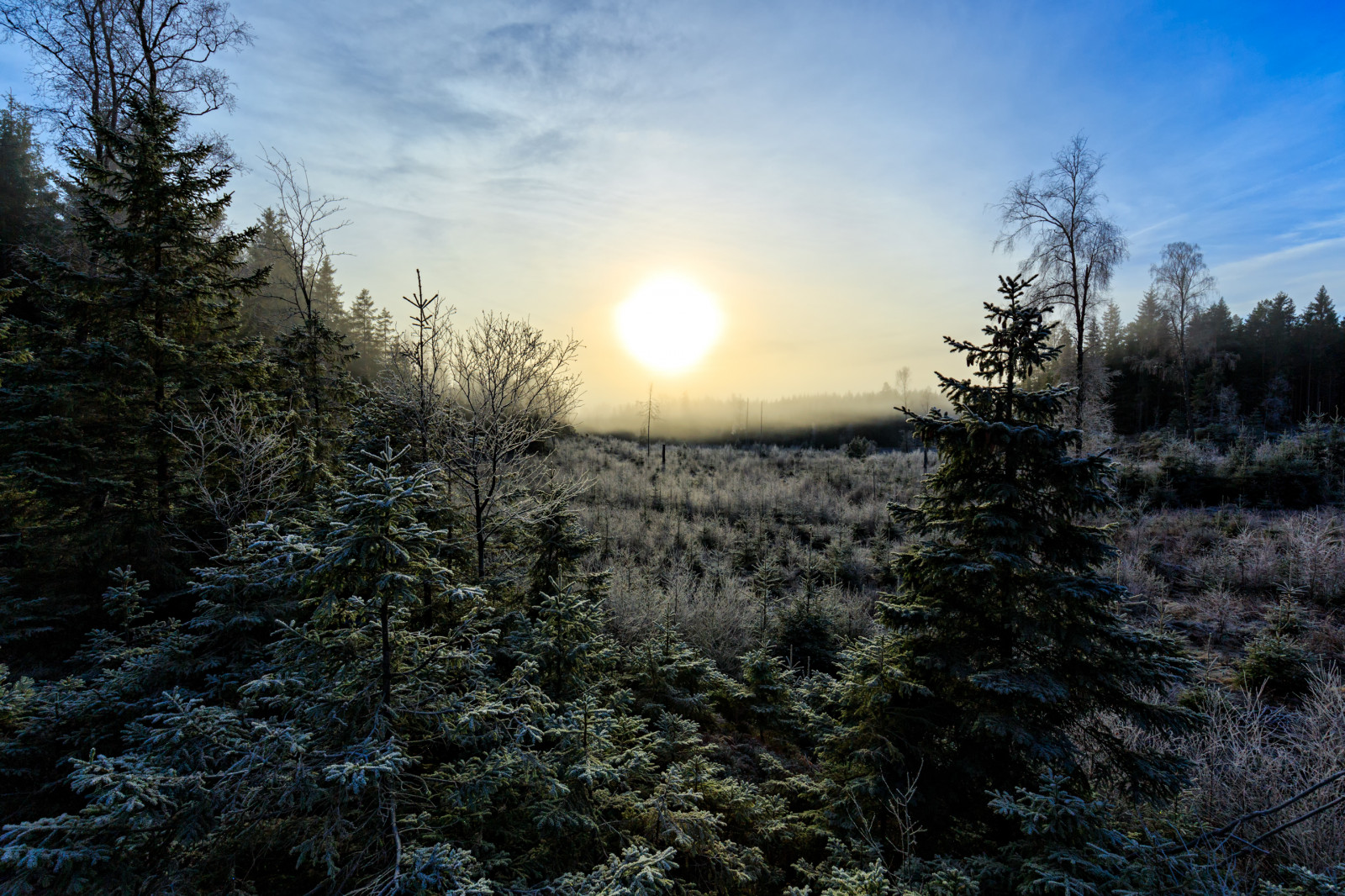 luce del sole, paesaggio, foresta, 500px, collina, natura, erba, cielo, la neve, inverno, ramo, Alba, sera, mattina, brina, Instagram, Sole, orizzonte, abete rosso, atmosfera, natura selvaggia, abete, Facebook, Congelamento, Google, tundra, conifera, Sol, 2016, nube, albero, flickr, montagna, alba, Dimma, natur, Skog, vegetazione, Landskap, canoneos6d, bosco, sfondo del computer, ecosistema, temperata foresta di conifere, bioma, larice, shrubland, famiglia del pino, fenomeno, canonef1635f4lisusm, fotosidan, f rgelanda, youpic, motljus, kalhygge, Kullberg, Gocciolamento, spruce fir forest