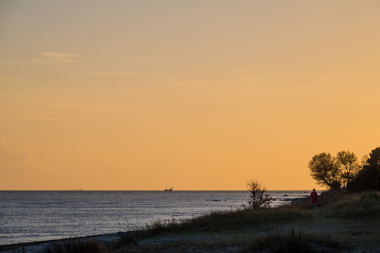 slunečnímu záření, západ slunce, moře, pobřeží, nebe, pláž, svítání, večer, ráno, pobřeží, slunce, horizont, soumrak, mrak, svítání, oceán, vlna, pramen, hav, kv ll, smygehamn, kust, exif modelu canoneos760d, geocountry, Kamera aby kánon, geocity, Model fotoaparátu canoneos760d, geostate, geolocation, EXIF čočka efs18200mmf3556is, exif aby kánon, EXIF isospeed 100, exif focallength 110mm, EXIF otvor 90, seaskymning, atmosférický jev, odlesk, tělo z vody
