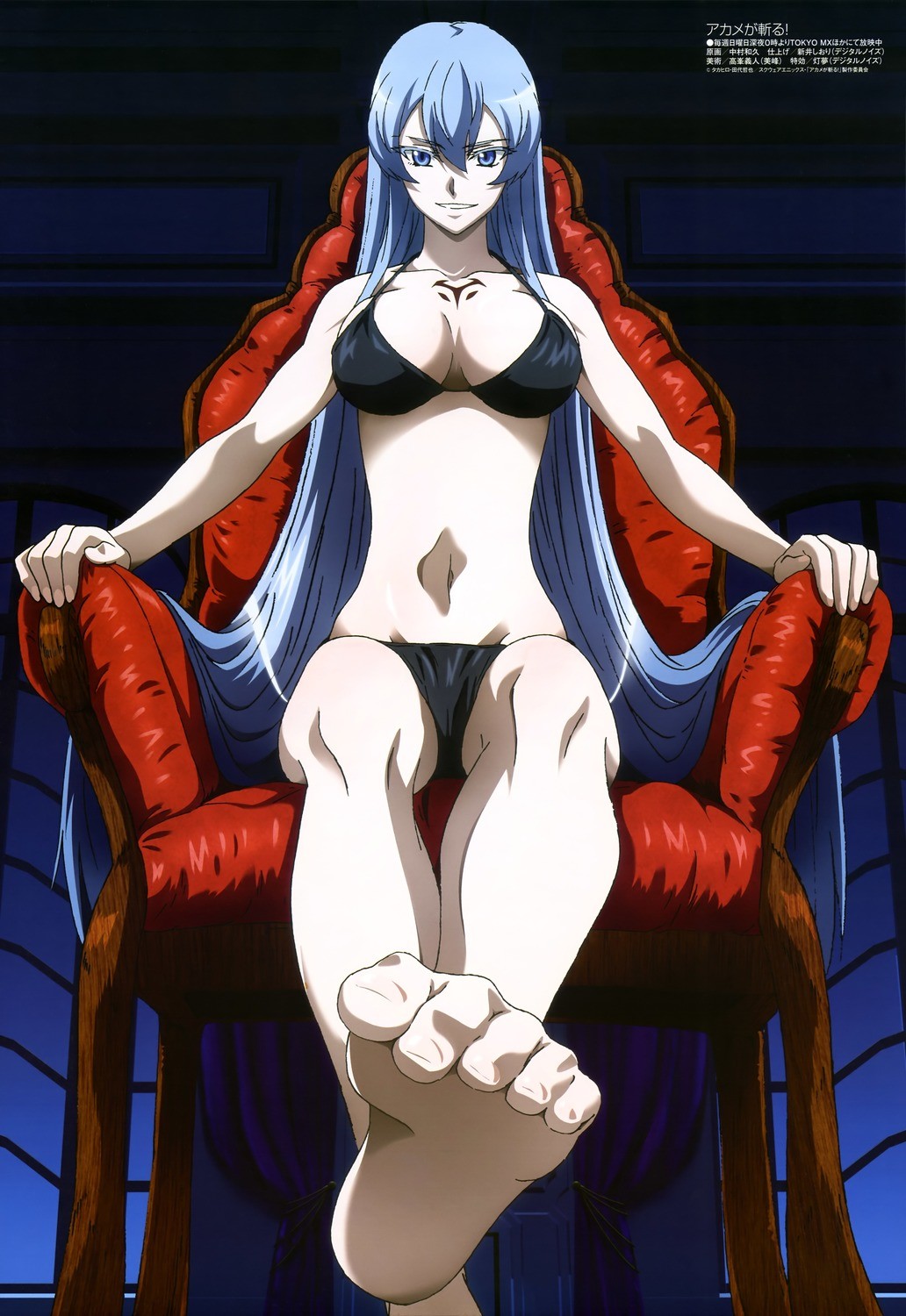Wallpaper Illustration Anime Cartoon Akame Ga Kill Comics Esdeath Screenshot Comic Book Fiction 1032x1500 Elys Hd Wallpapers Wallhere