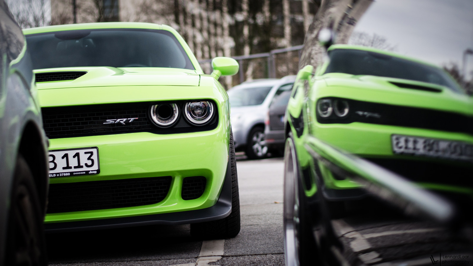 podzim, Spojené státy americké, zelená, cars, auto, sport, odrazy, Německo, fotografování, 50mm, essen, Nikon, sval, super, Vyhnout se, NIKKOR, 18, superauto, vyzývatel, závoďák, sportovní auto, essenmotorshow, divoká kočka, SRT, SRT8, 2015, carspotting, Lennard, Laar, carsighting, D5100, lennardlaar