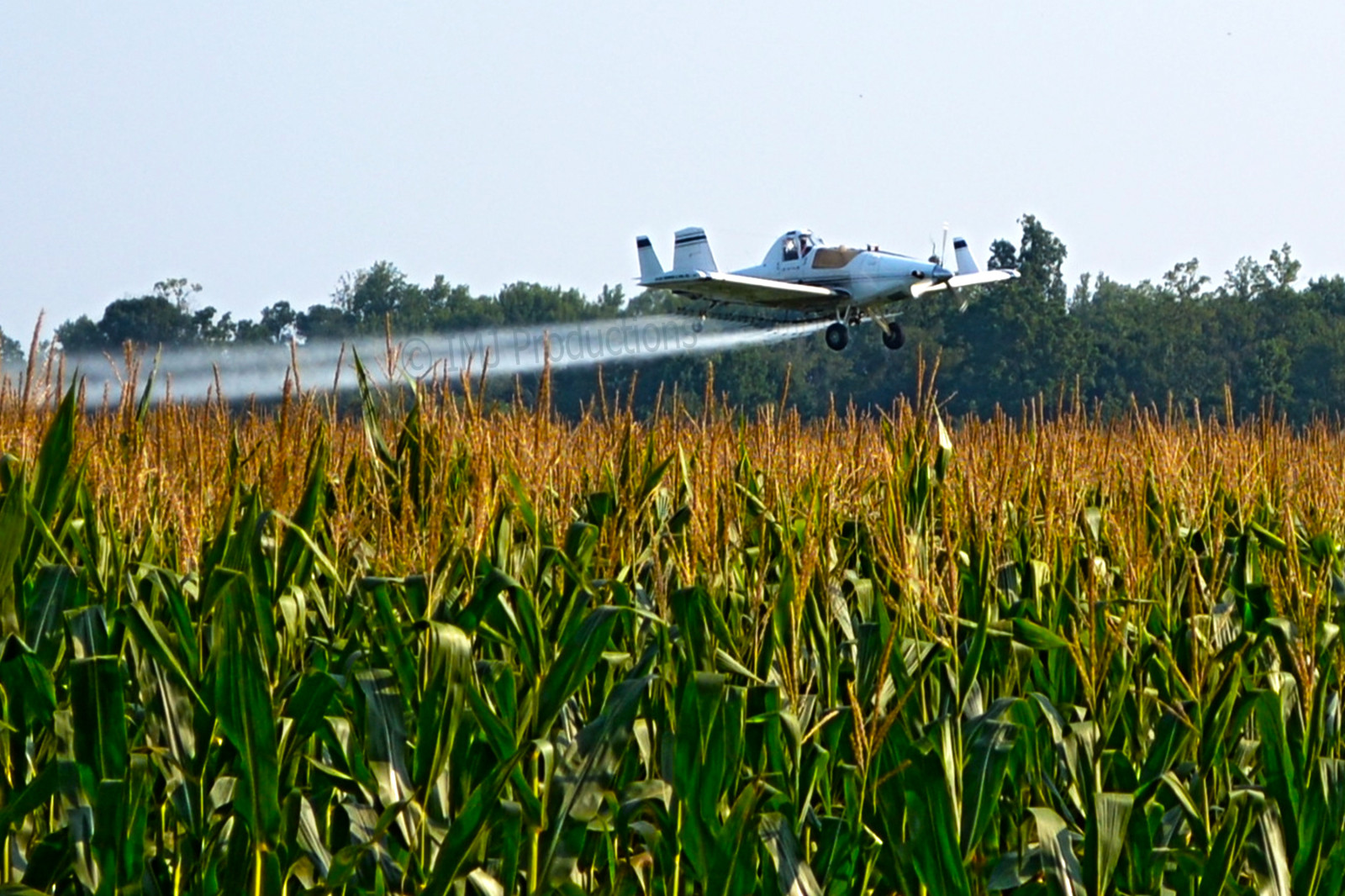 Wallpaper : field, plane, airplane, Fly, flying, corn, flickr, aviation ...