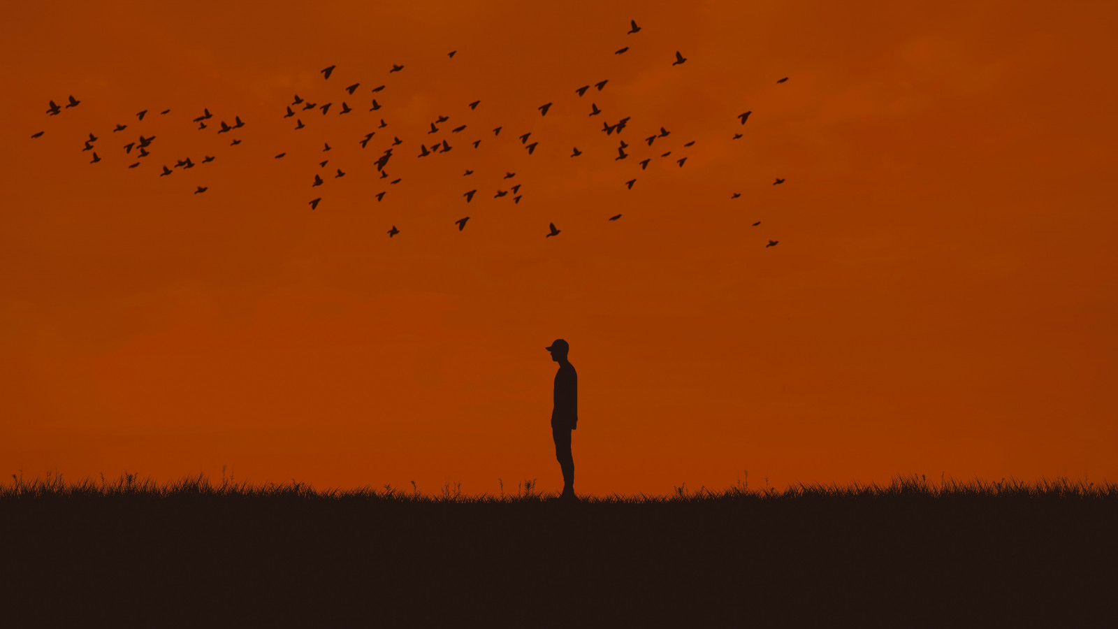 man, silhouette, birds