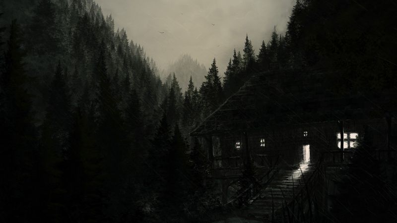 slunečnímu záření, stromy, les, krajina, výkres, digitální umění slunečnímu záření, stromy, les, krajina, výkres, digitální umění