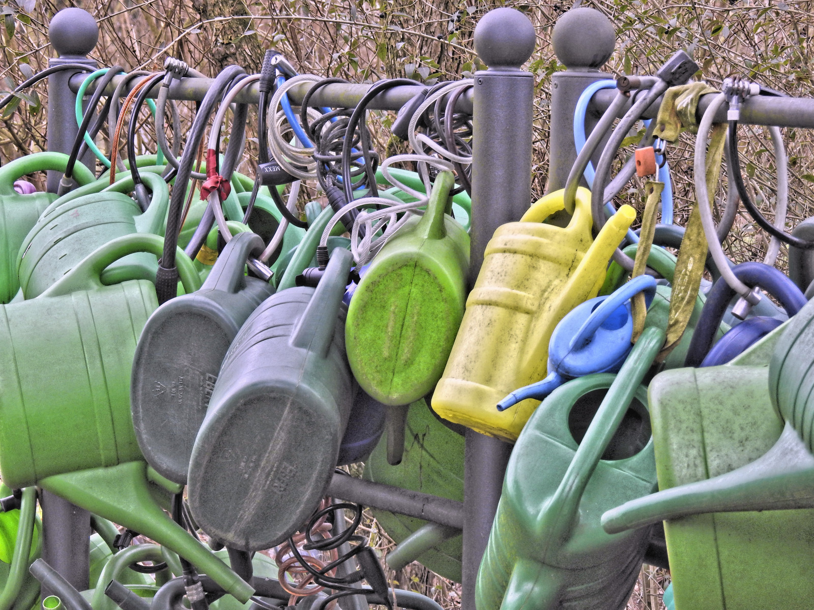 verde, erba, veicolo, veicolo a motore, albero, pianta, famiglia di erba
