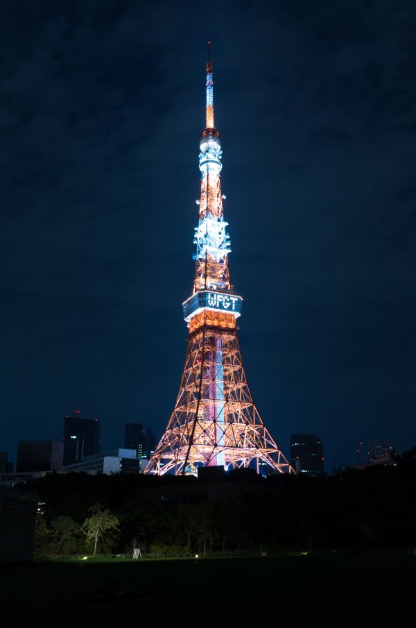 Japan,night,architecture,reflection,evening,tower