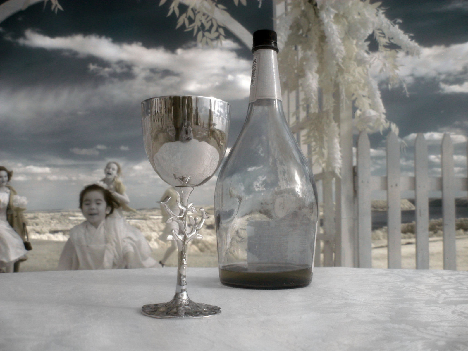 S30ir, ir, infrarosso, fate, vino, calice, cielo, nuvole, Webreeze, Canone, ircamera, infrarouge, Infrarot, infrarrojos, infrarood, infrarossi, infra erven, infrapuna, infrav r s, inframerah, sfondo, infravermelho