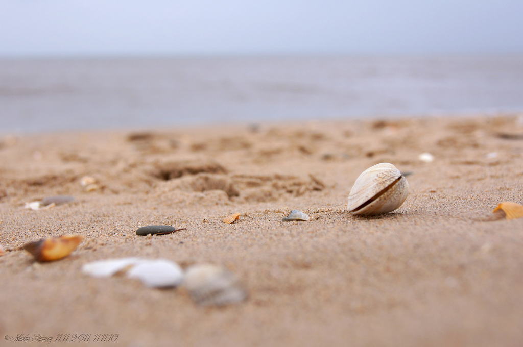 UK, Inghilterra, Galles, uno, ricorda, numeri, undici, 111111, Galles del nord, poppyday, Il più grande è quello di tutti e due, Lotofoni, Una volta cento anni