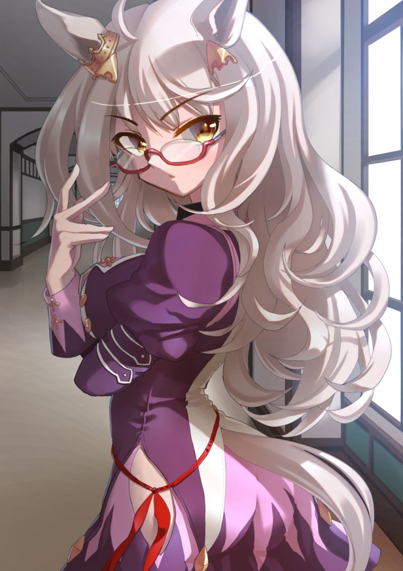anime,anime girls,Uma Musume Pretty Derby,horse girls,orecchie degli animali,Biwa Hayahide Uma Musume