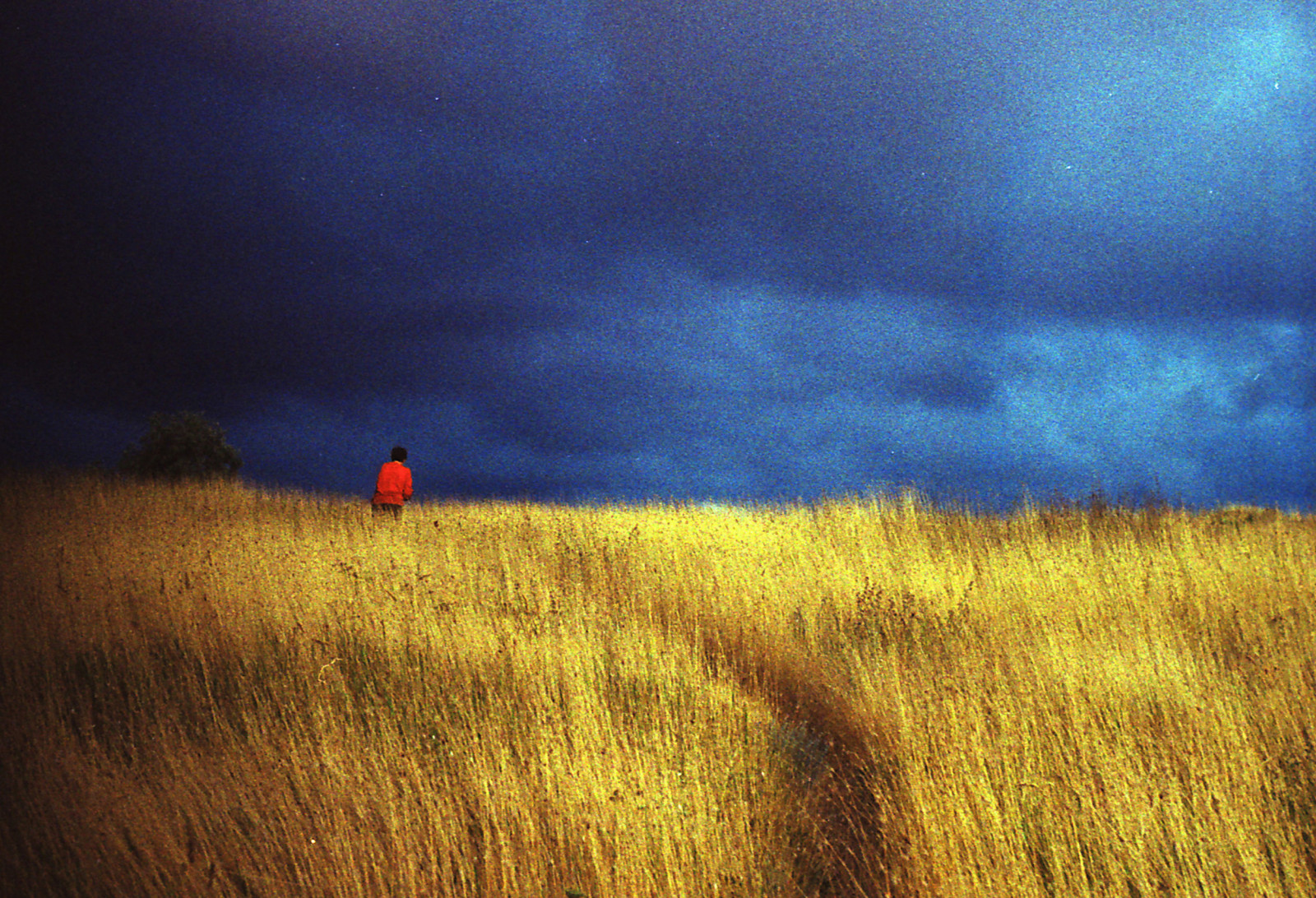 film, analogico, 35MM, analogico, Sevastopol, mar Nero, 2011, Zenitet