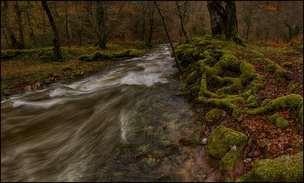 Espana, Spanien, panoramica, Canon, udforske, mygearandme, mygearandmepremium, mygearandmebronze, mygearandmesilver, lanscape, abigfave, pueblos, anpegon, paisajes, mywinners, NWN, panorama, Fotográfico, flickr, dOF, flickrdiamond, panoramafotografico, galakse, vindmøller, platinumheartward, Bej, fav50, fav100, agua, Rio, Gud elsker dig, paisaje, Serenidad, vand, sedado, Cantabria, cantabriainfinita, riosaja, ROKS, MUSGO, Arboles, Hayas, Saja, hojas, invierno, otono, Bosque