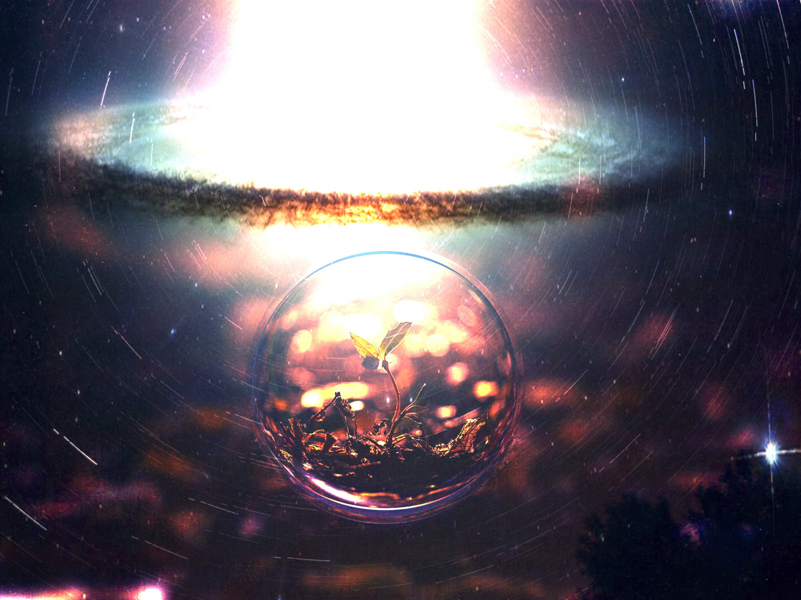 luce del sole, arte digitale, notte, spazio, riflessione, piante, stelle, gocce d'acqua, esplosione, universo, leggero, forma, oscurità, immagine dello schermo, sfondo del computer, atmosfera della terra, effetti speciali, spazio, oggetto astronomico