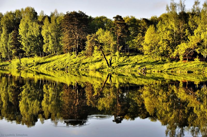 krajina, jezero, voda, Příroda, odraz, les krajina, jezero, voda, Příroda, odraz, les