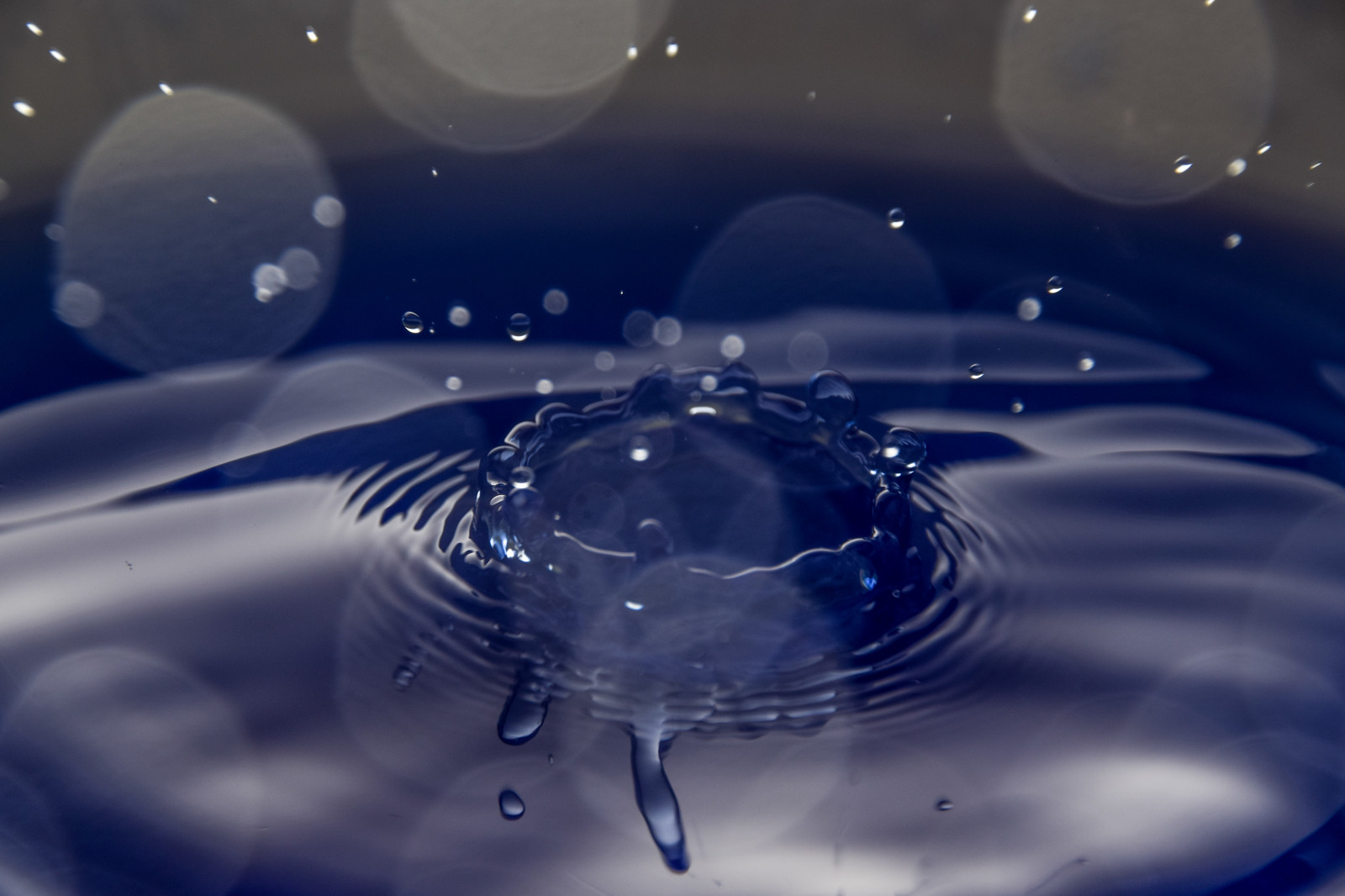voda, odraz, déšť, fotografování, kapky vody, modrý, Německo, kruh, atmosféra, Nikon, orel, pokles, vlna, počítač tapeta, Atmosféra Země, zblízka, makro fotografie, vlhkost, kapalina bublina