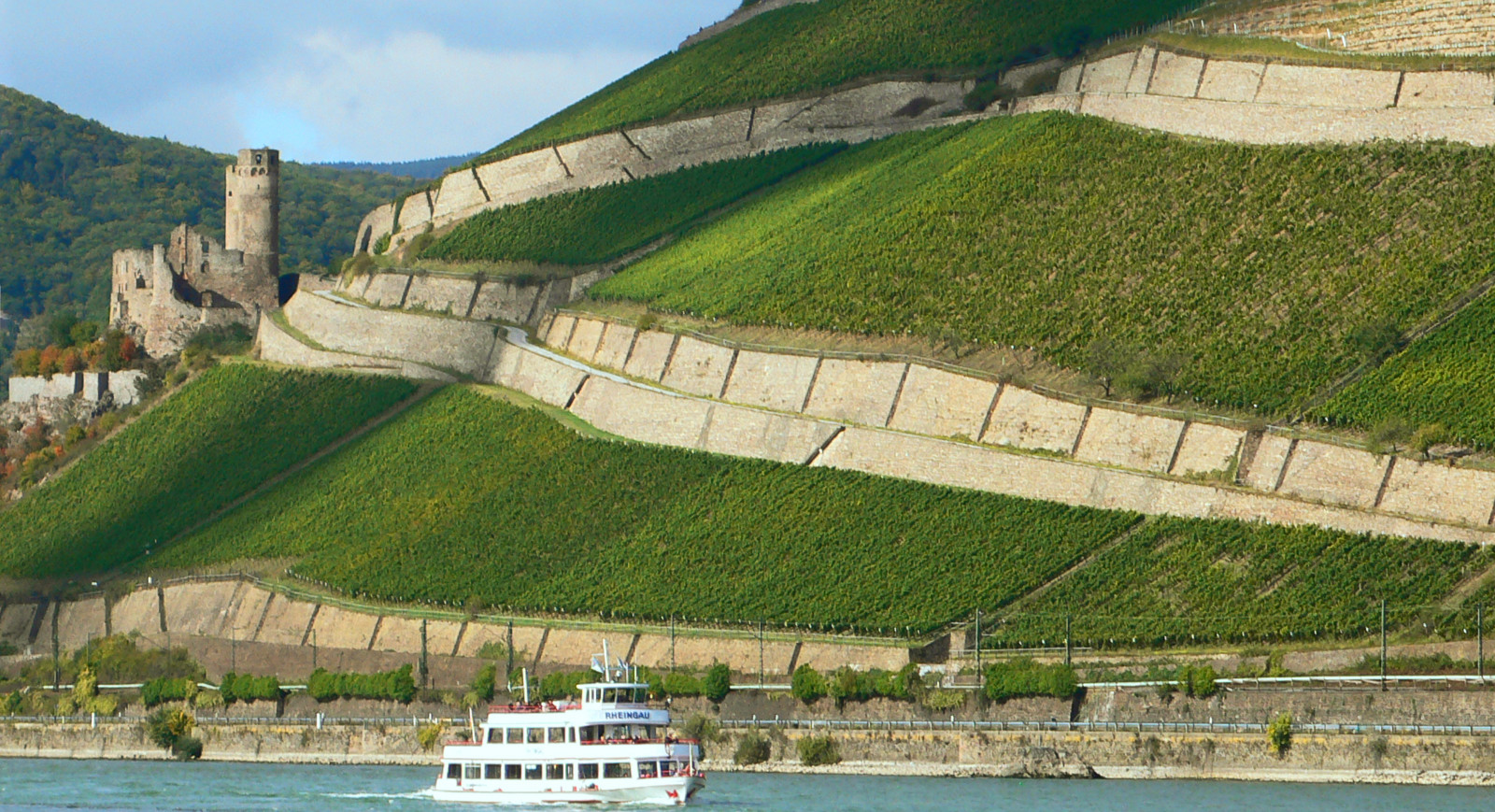 svět, Leica, 2, hrad, UMĚNÍ, berg, řeka, Německo, hessen, víno, kopec, uNESCO, zřícenina, vinice, Fluss, rýn, Rhein, městský okres, Rheingau, dlux, R desheim, riesling, wein, Weinberg, Hesse, Weinstock, Ehrenfels, Roseneck, R desheimer, Heritag, Vinárna
