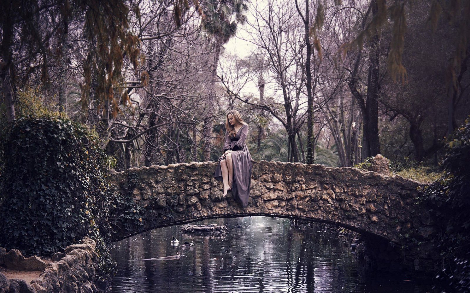 luce del sole, alberi, foresta, donne all'aperto, acqua, natura, riflessione, seduta, inverno, ponte, fiume, natura selvaggia, ruscello, albero, autunno, stagione, pianta legnosa, giochi d'acqua