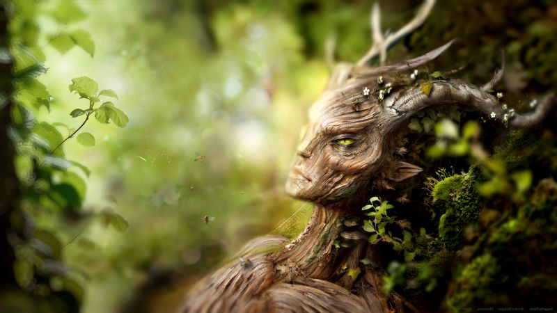 natur,Spriggan,The Elder Scrolls V: Skyrim,1920x1080 px