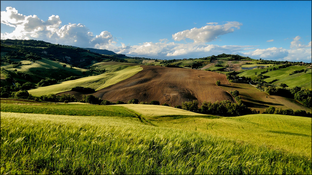 Italia, verde, verde, primavera, campo, paesaggio, primavera, Nikon, scenario, San, Italia, Crudo, nazione, severino, campagna, coolpix, marche, Paesaggio, grano, macerata, Campi, Treia, P330, mygearandme, mygearandmepremium, mygearandmebronze, mygearandmesilver, mygearandmegold, mygearandmeplatinum, mygearandmediamond