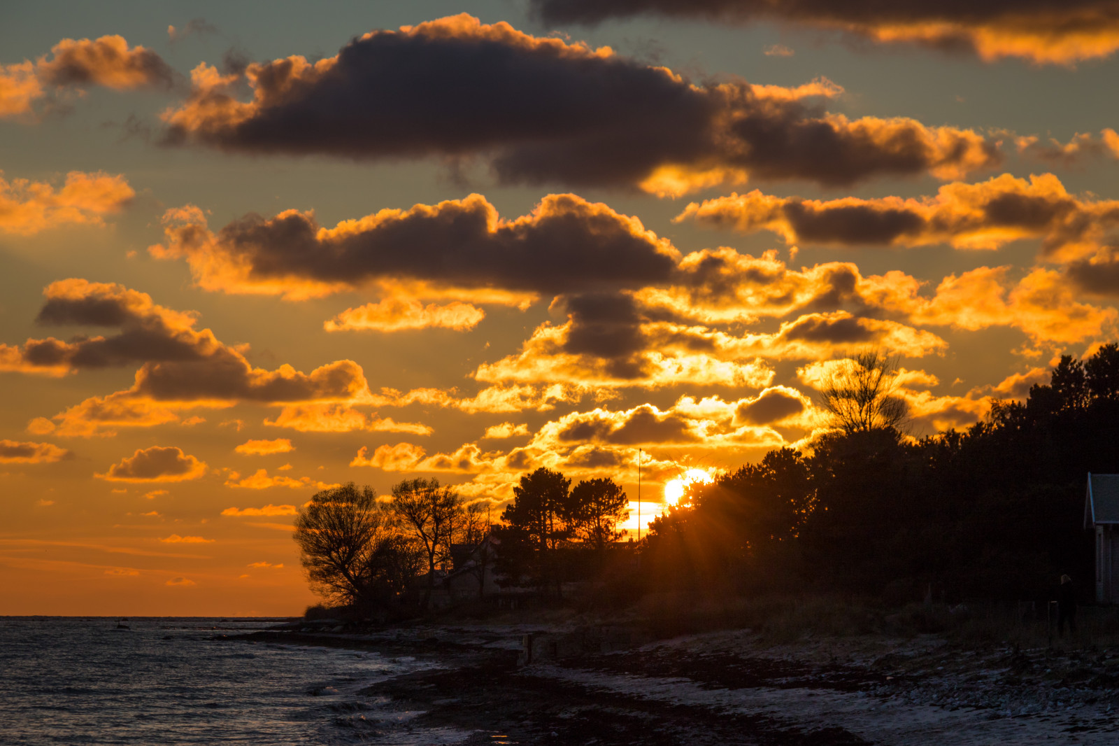 Himmel, Sonnenuntergang, Horizont, Wolke, Sonne, Sonnenaufgang, Nachglühen, Meer, Abend, Atmosphäre, Dämmerung, Dämmerung, Morgen, Wasser, Ufer, Sonnenlicht, ruhig, Betrachtung, Ozean, Roter himmel am morgen, Meteorologisches Phänomen, Welle, Landschaft, Computer-Tapete, Baum