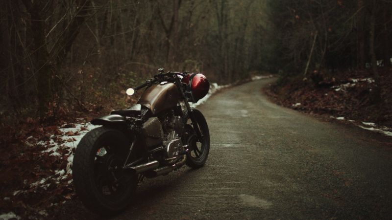trees, forest, car, bicycle, motorcycle, vehicle trees, forest, car, bicycle, motorcycle, vehicle