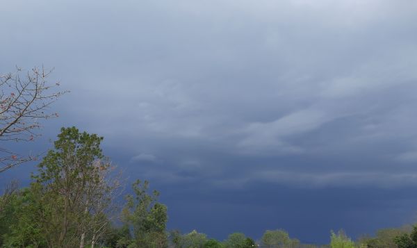 nature,sky,thuderstorm,trees