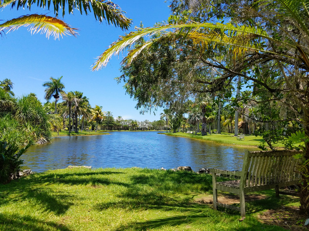 paesaggio, giardino, lago, acqua, natura, riflessione, erba, cielo, verde, panchina, fiume, ricorrere, tropicale, laguna, stagno, giungla, Banca, riserva naturale, zone umide, Fairchild, albero, foglia, pianta, all'aperto, tempo libero, panchine, giardino botanico, vegetazione, Palma, tropici, piantagione, serbatoio, bayou, Arecales, botanico, giardino botanico, fairchildtropicalbotanicgarden, Palma