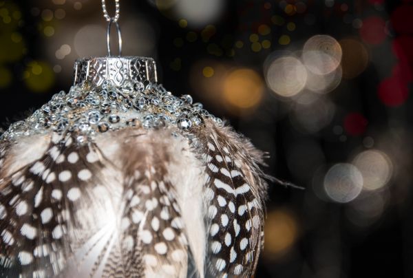 branch,Sweden,Sverige,bokeh,Spirit,Malm