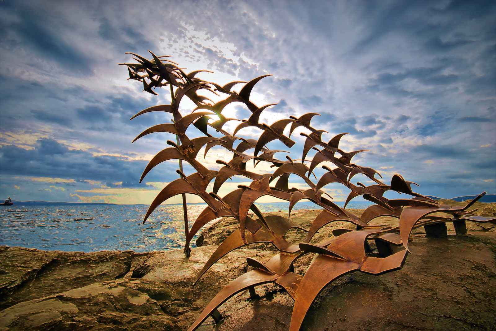 himmel, vann, hav, tre, anlegg, tre, gren, hav, ferie, stock photography