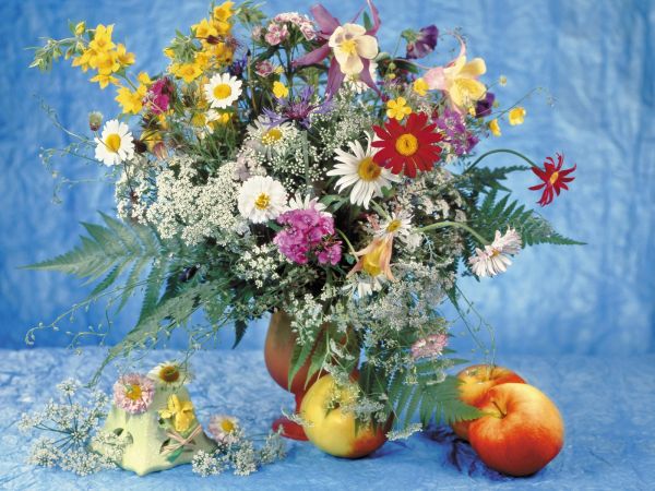 spring,painting,artwork,table,apples,daisies