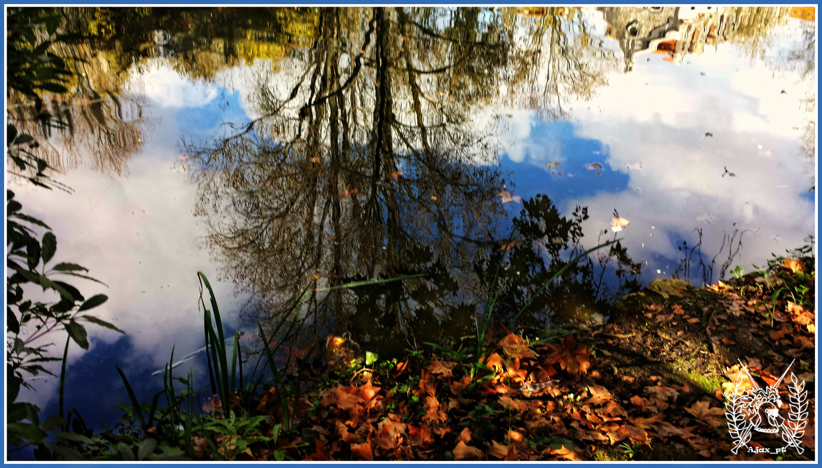 parc, lac, Samsung, reflexii, reflexos, gti9505