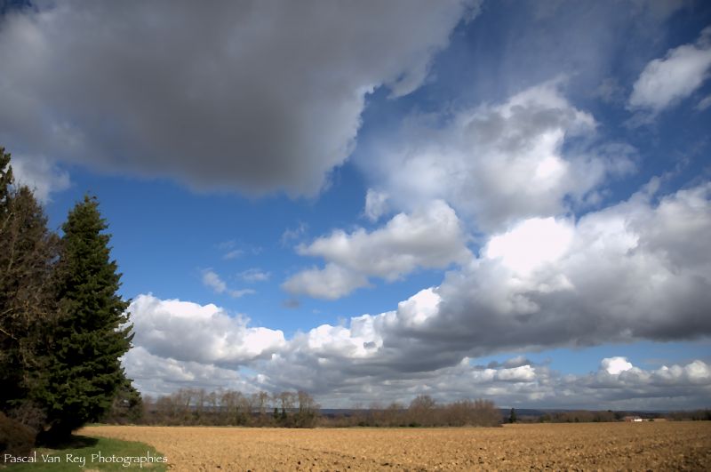lumière du soleil,paysage,ciel,la photographie,herbe,champ
