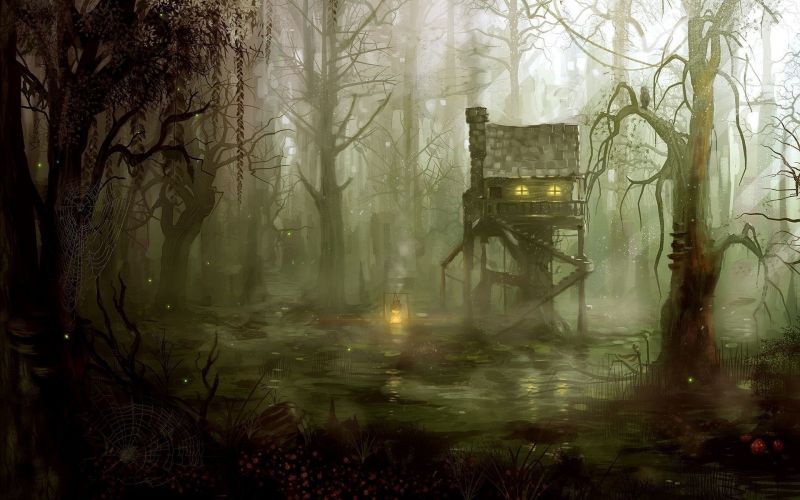 sunlight, forest, jungle, fantasy art, morning, mist sunlight, forest, jungle, fantasy art, morning, mist