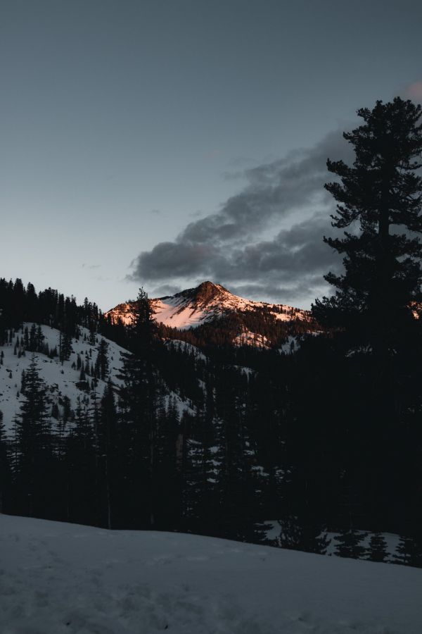 cloud,sky,atmosphere,mountain,plant,snow