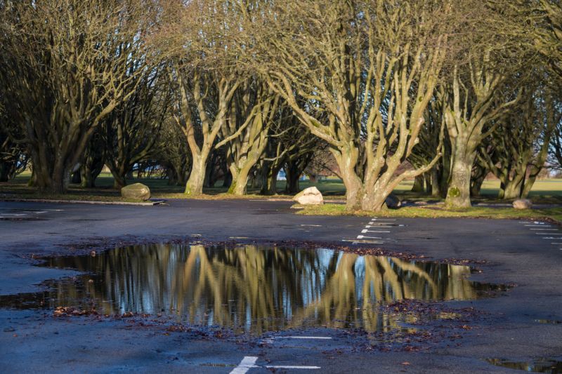 lumière du soleil,paysage,eau,réflexion,la nature,parc