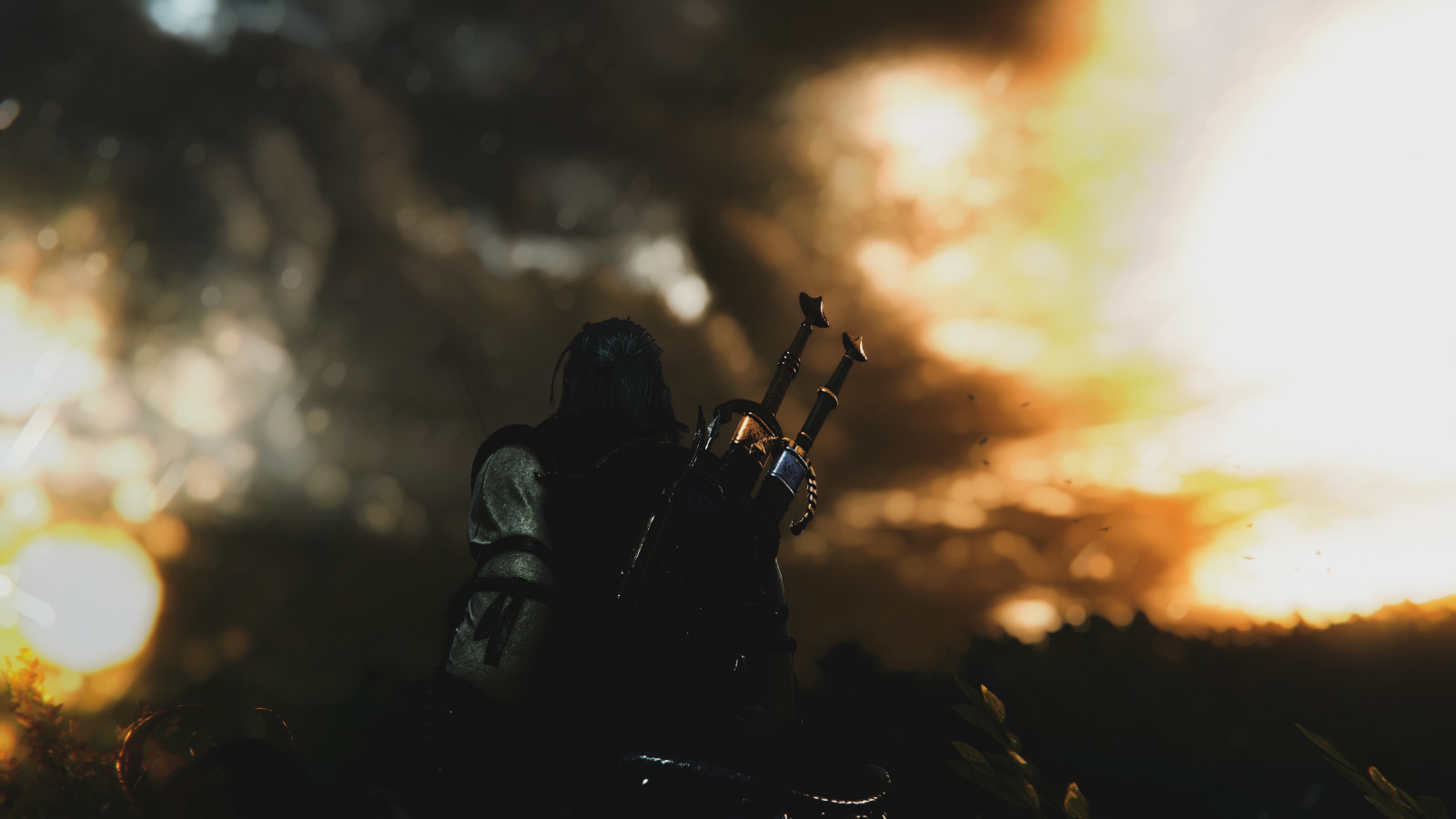 The Witcher, Witcher 3 ล่าสัตว์ป่า