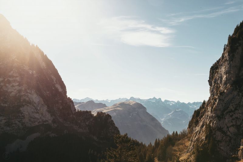 forest, mountains, sunlight, trees, landscape, rock forest, mountains, sunlight, trees, landscape, rock