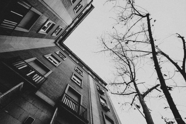 building,window,sky,black,plant,black and white