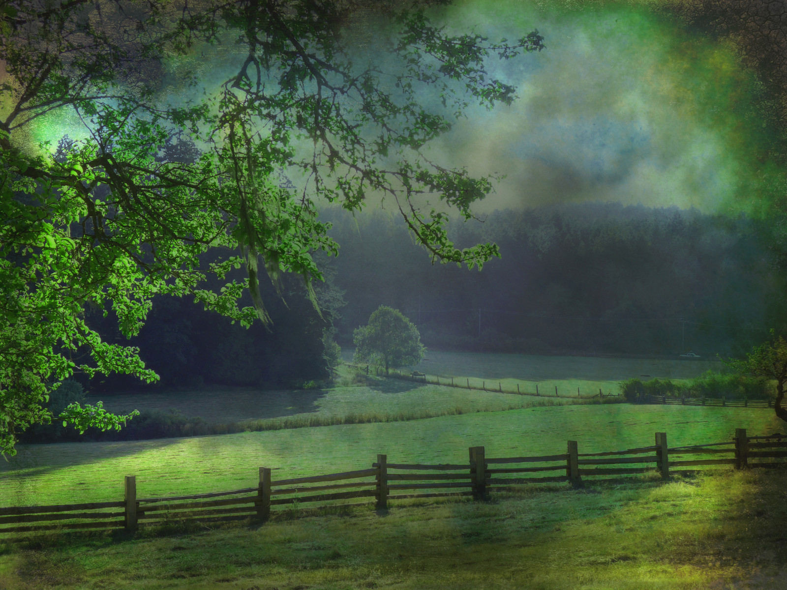 slunečnímu záření, krajina, les, jezero, voda, Příroda, odraz, Cestovní ruch, zelená, ráno, mlha, řeka, Kanada, letní, kanadský, rybník, džungle, bažina, dovolená, mokřadní, Pacifik, strom, cestovat, před naším letopočtem, klidný, národní geografie, magicunicornverybest, magicunicornmasterpiece, zálesí, bažina, zedzap, victoriabc, místo výskytu, přírodní prostředí, atmosférický jev, saltspringisland, rucklepark, henryruckle