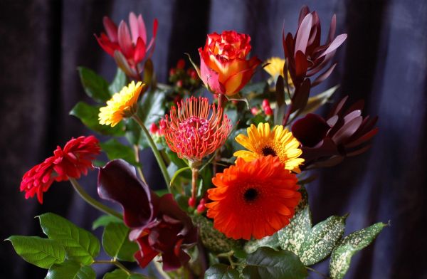red,leaves,flowers,blossom,bouquets,calla lilies