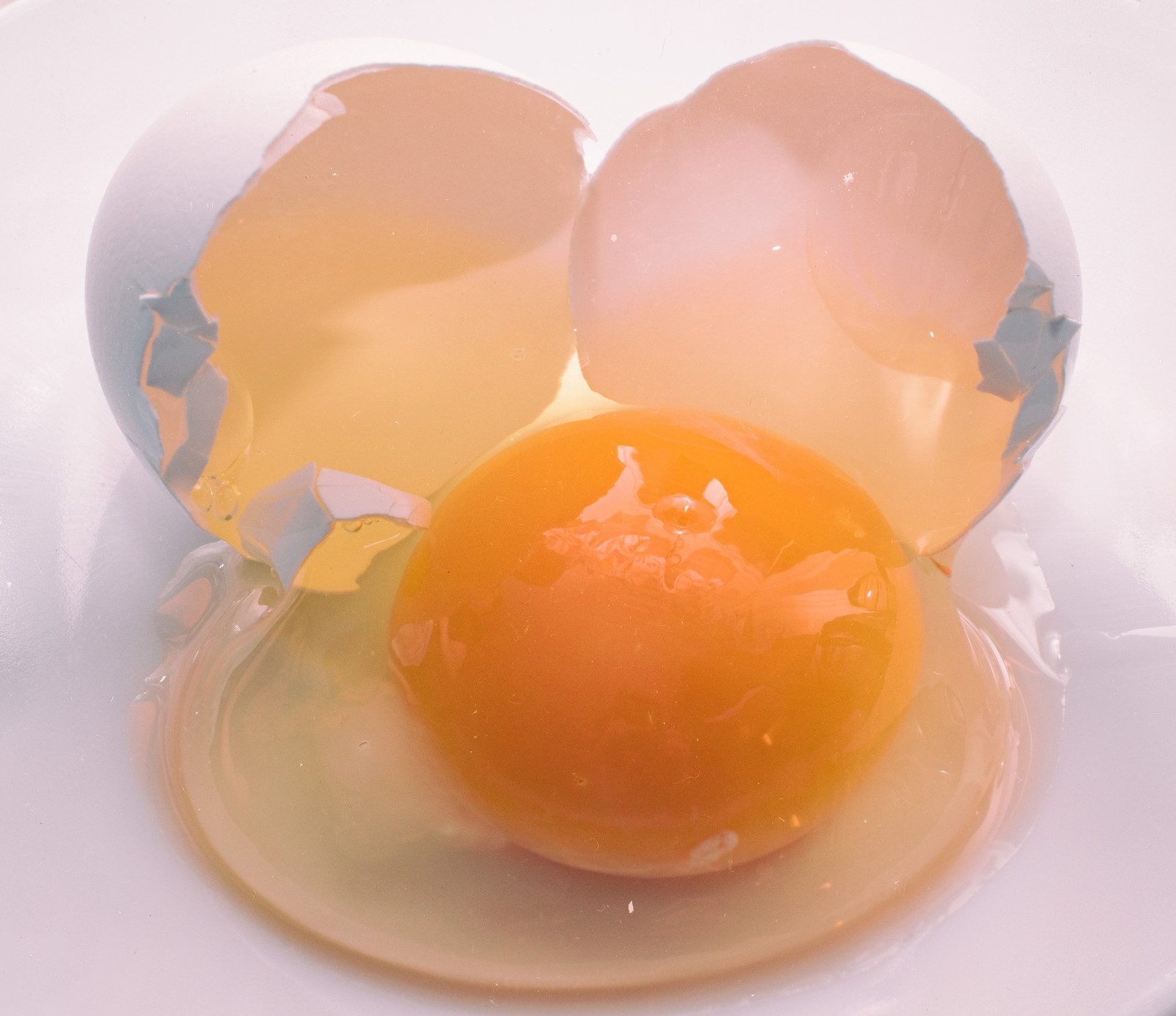 cibo, macro, giallo, Nikon, dolce, macromondays, fiore, D5500, uovo, project365, produrre, tuorlo d'uovo, nikond5500, commestibile