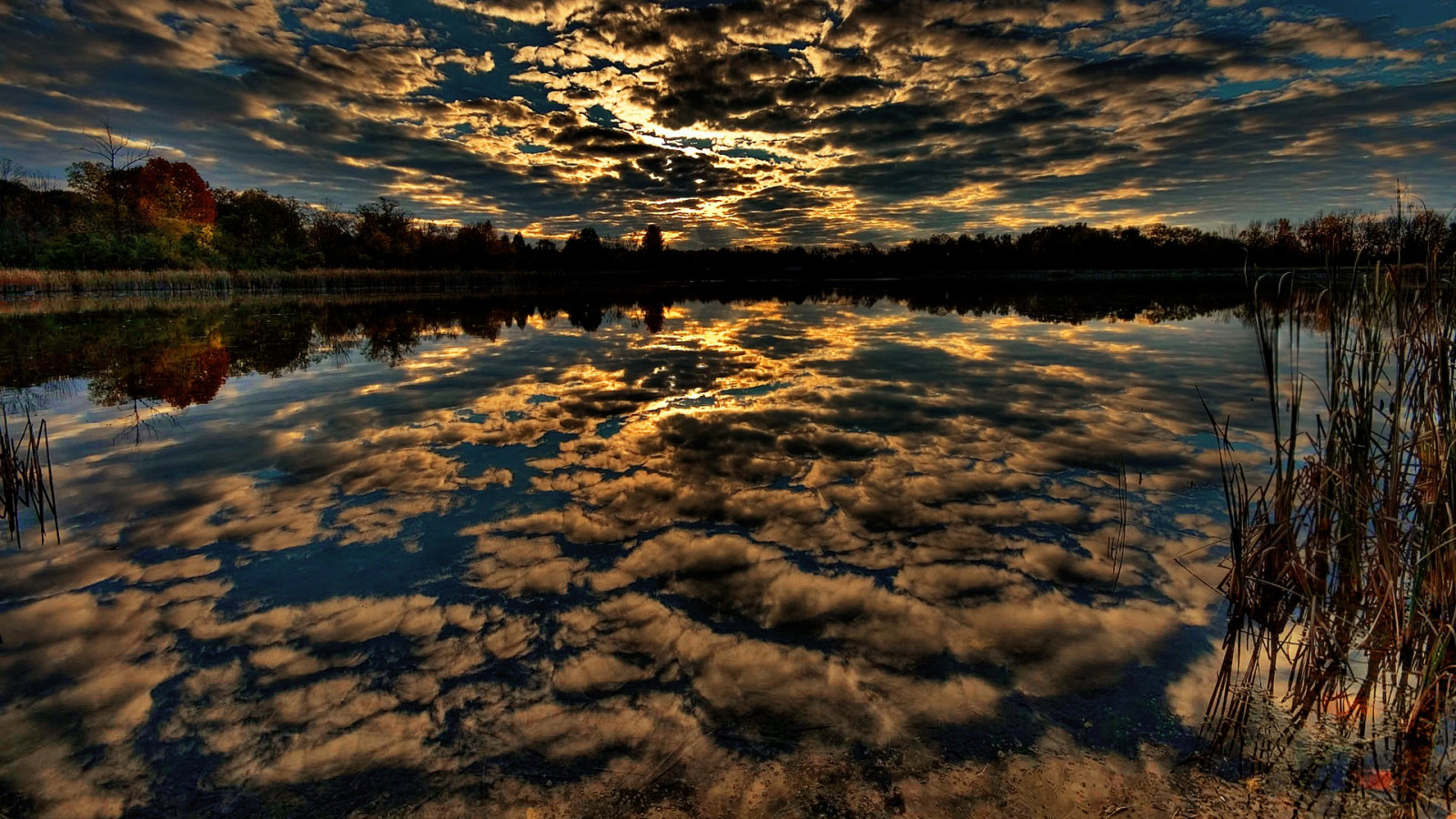 sinar matahari, pemandangan, matahari terbenam, laut, danau, air, alam, pantai, refleksi, langit, awan-awan, matahari terbit, malam, pagi, sungai, horison, senja, lahan basah, awan, pohon, musim gugur, Fajar, musim, danau