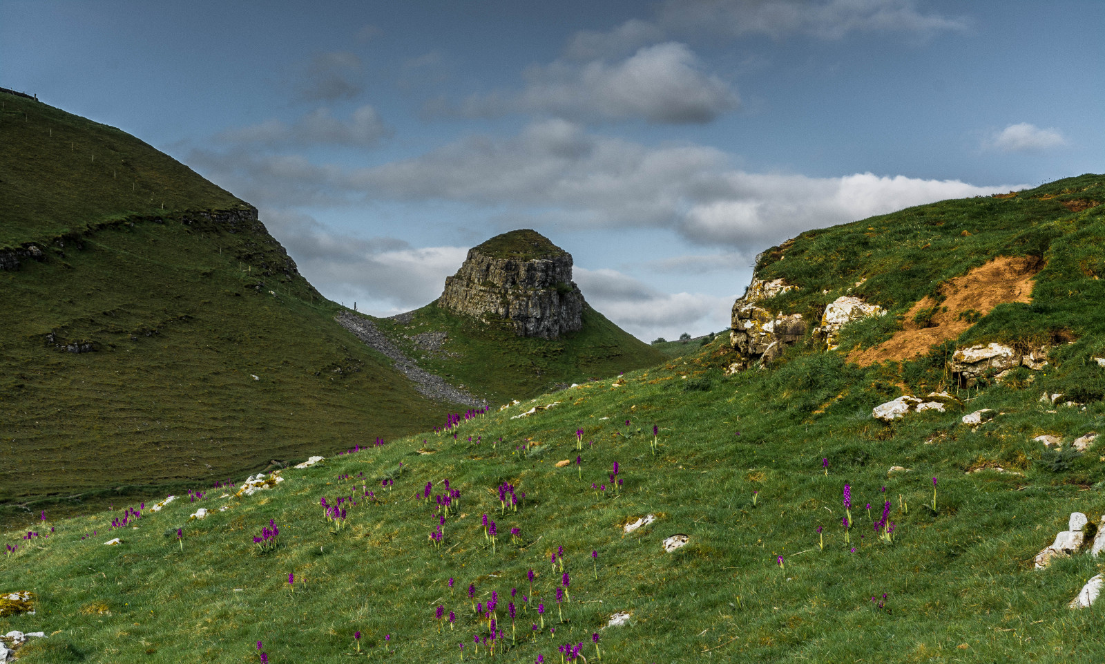 macchina fotografica, nuovo, mattina, fiori, blu, leggero, selvaggio, cielo, pianta, orchidea, fiore, verde, natura, giallo, roccia, pietra, nuvole, lente, paesaggio, primavera, Nikon, viola, vallata, quartiere, derbyshire, natur, crescione, può, picco, Ruscello, NIKKOR, Peters, Raro, primavera, whitepeak, forca, Limetone, Scarpe da ginnastica, imagesofengland, D5200