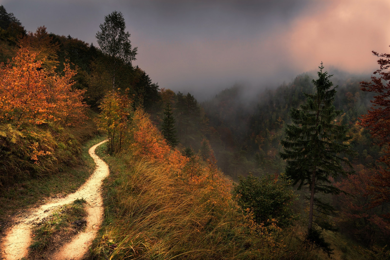 sollys, landskab, Skov, natur, afspejling, solopgang, aften, morgen, tåge, ødemark, løbeild, Sky, træ, efterår, blad, bjerg, vejr, daggry, sæson, skov, 2048x1367 px, levested, naturligt miljø, atmosfærisk fænomen, vedplante, bjergrige landskabsformer, geografisk funktion