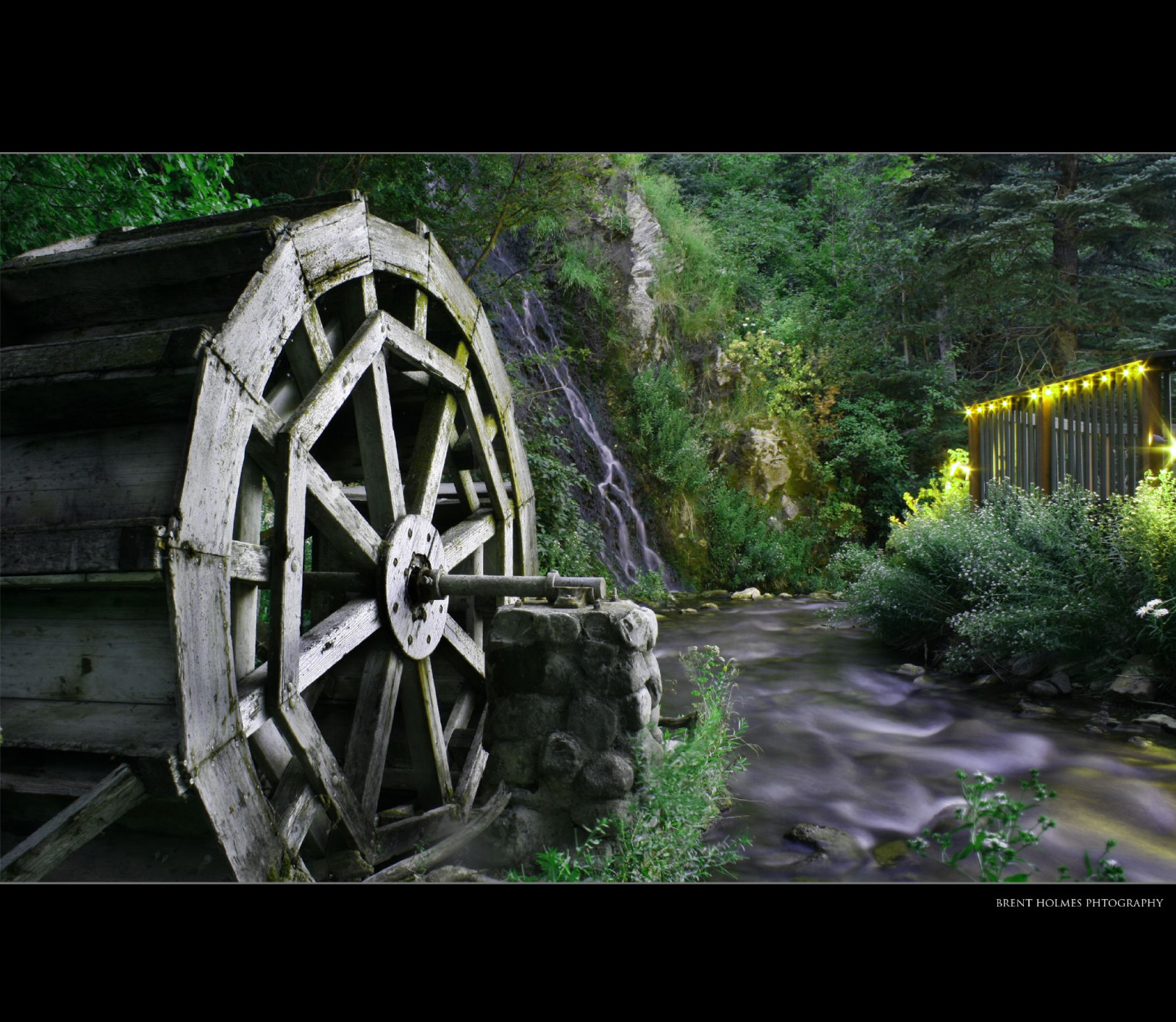 Příroda, kolo, voda, strom, automotive wheel system, pneumatika, automotive pneumatiky, krajina, rostlina, les, tráva, zálesí