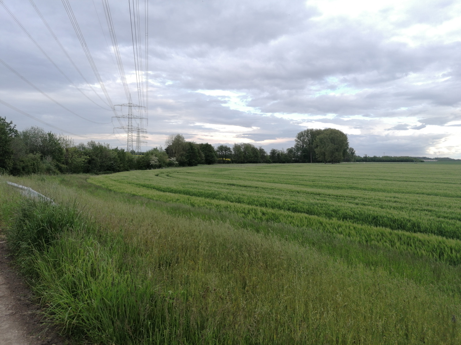 mrak, rostlina, nebe, Natural landscape, strom, vzdušné sdělovací elektrické vedení, zemědělství, tráva, elektřina, lučina, prostý, venkov, krajina, vysílač, louka, silnice, horizont, asfalt, prérie, kupa, pastvina, plantáž, půda, pole, vítr, oříznutí, public utility, událost, meteorologický jev, kopec, step, cash crop, elektrické napájení, povrch vozovky, drát, vesnice, hospodařit, neloupané pole, Prašná silnice, stín, závod stonek