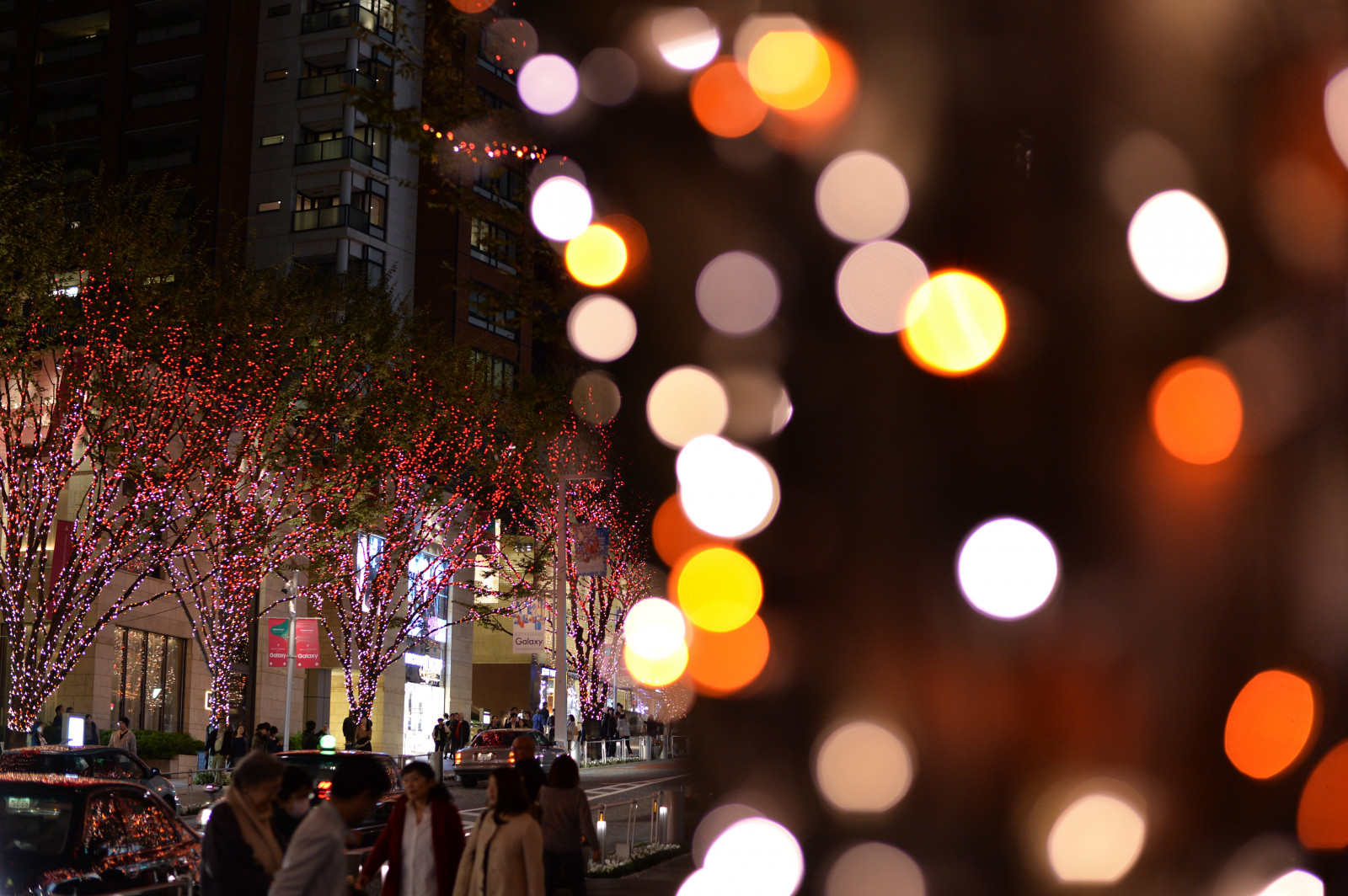 Japonsko, noc, večer, Nikon, Vánoce, Dovolená, Vánoční osvětlení, Tokio, událost, jp, světlo, NIKKOR, osvětlené, osvětlení, osvětlení, df, Roppongi, keyakizaka, afs58mmf14g, afsnikkor58mmf14g, osvětlit, vánoční dekorace