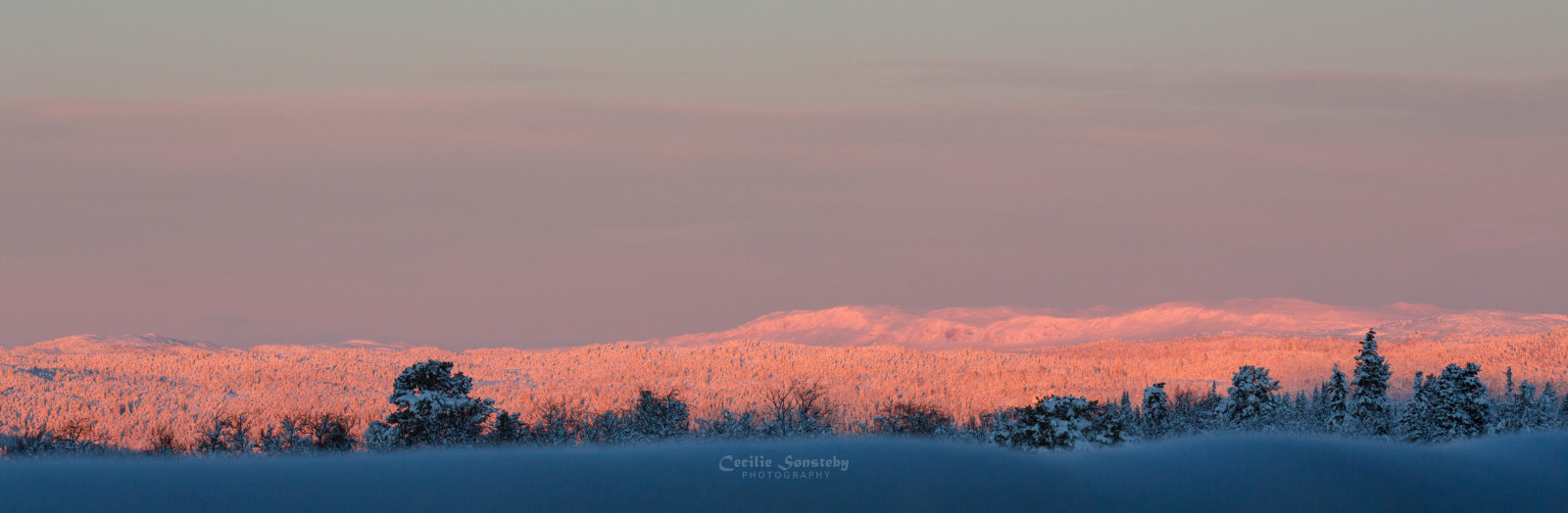 햇빛, 경치, 산들, 일몰, 언덕, 하늘, 눈, 겨울, 해돋이, 푸른, 저녁, 아침, 정경, 수평선, 분위기, 북극, 황혼, 담홍색, 동결, 동토대, 구름, 나무, 산, 전망, 새벽, 아침 빛, NGC, 캐논 5dmarkiii, npc, 마 퀴이, ef70200mmf28lisiiusm, 머릿단, 잔광, 지질 학적 현상, 아침에 붉은 하늘, 산맥, 되다, 생태 지역