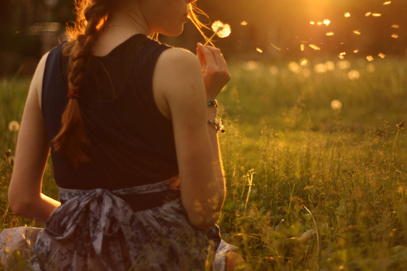 sollys, fotografering, aften, morgen, Sol, Canon, romantik, LA, lys, efterår, blomst, pige, sæson, Foto, mælkebøtter, birdie, anne, sooc, suk, lindsay, Dransfield, labirdie, labirdiephoto, ahhthislightamazedme, itwaslikesupergoldengoldenhour, ithinkitwassomethingwiththeclouds, iwassittinginliketheonlypatchoflightleftinouryard