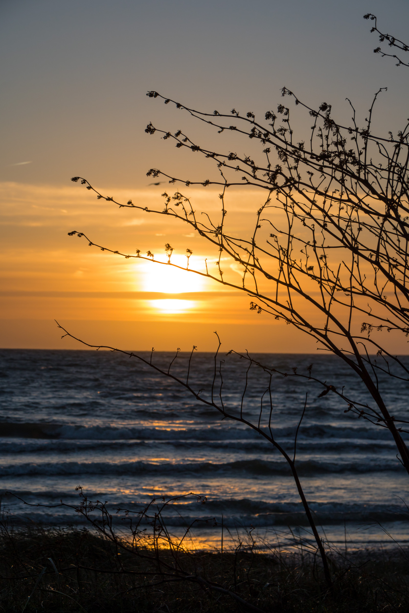 slunečnímu záření, západ slunce, moře, voda, Příroda, odraz, nebe, svítání, večer, ráno, pobřeží, slunce, horizont, soumrak, mrak, svítání, oceán, solnedg ng, vatten, hav, Trelleborg, kust, exif modelu canoneos760d, geocountry, Kamera aby kánon, geocity, Model fotoaparátu canoneos760d, geostate, geolocation, EXIF čočka efs18200mmf3556is, exif aby kánon, EXIF isospeed 100, dalabadet, EXIF otvor 90, exif focallength 70mm, atmosférický jev, odlesk