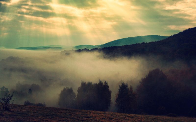 sunlight, landscape, forest, sunset, hill, nature sunlight, landscape, forest, sunset, hill, nature